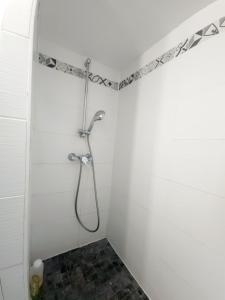 a shower in a white bathroom with a shower head at Le Nid, petit studio cosy et central in Besançon +24 photos