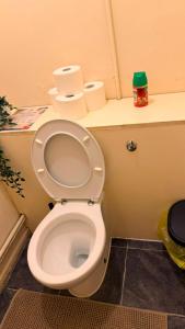a bathroom with a toilet with two rolls of toilet paper at E Gardens Apartment in Nottingham +12 photos