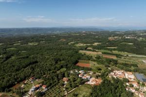 an aerial view of a small village in a forest at Villa Tadini JOY in Babići
