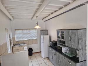 a kitchen with a refrigerator and a counter top at Journey Guesthouse in Riversdale