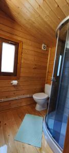 a wooden bathroom with a toilet and a window at Jaskolcze Gniazdo in Dziwnówek +28 photos