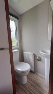 a bathroom with a toilet and a sink at Sandpiper Aspen 9 in Peterhead