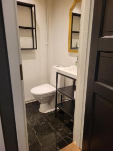 a bathroom with a toilet and a sink at Villa Korsman in Hanko