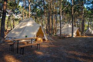 two tents in the woods with a table and benches at Kampaoh São Pedro de Moel in Marinha Grande