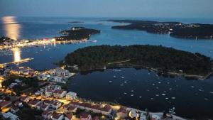 an aerial view of a small island in a body of water at Apartments Vukalovic in Medulin