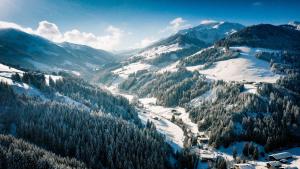 a view of a snow covered mountain range with trees at Hotel Biobauernhof Hinteraltensberg Wildschönau in Auffach