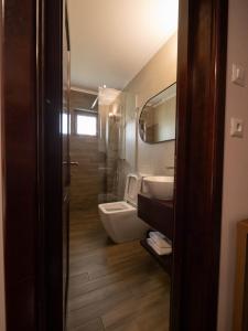 a bathroom with a sink and a toilet and a mirror at Pensiunea Florica in Piteşti