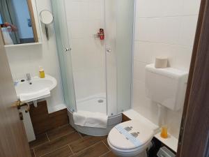 a bathroom with a shower and a toilet and a sink at Víghajós Panzió in Budapest +37 photos