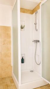 a shower in a bathroom with a glass door at Studio spacieux centre-ville avec ascenseur - Le Bohème in Digne-les-Bains