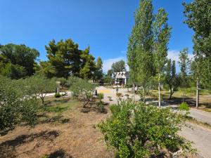 a garden with trees and a house in the background at Kavalona Park in Vlorë