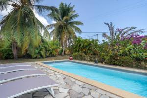 a swimming pool with lounge chairs and palm trees at Villa Aquarium in Saint-François