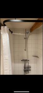 a shower in a bathroom with a shower curtain at Stuga på gård i Böda socken in Löttorp