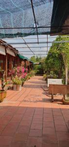 a walkway with a bench in a garden at Ba Linh Homestay in Vĩnh Long