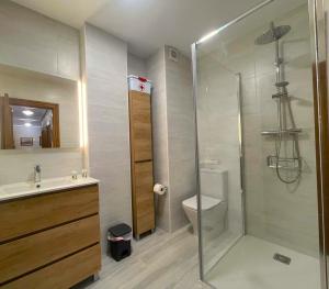 a bathroom with a shower with a toilet and a sink at El Pescador in Ribadesella +47 photos