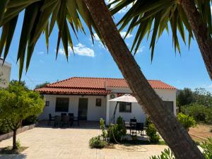 a view of a house with a palm tree at George's place in Plytra