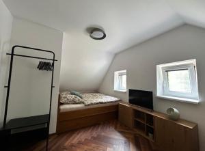 a bedroom with a bed and a television in it at Na Špici Bítov in Bítov