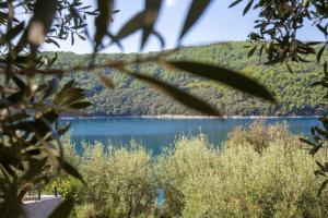 a view of a lake through the trees at Istria Sea Side Apartments Lina in Labin