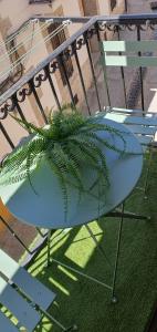 a green plant sitting on top of a chair at Casa Rural La Changa in Losar de la Vera