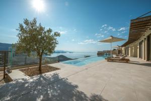 a house with a swimming pool and a tree at Villa Symposium Infinity in Sivota