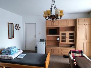 a living room with a bed and a cabinet with a television at Agroturystyka u Mańka in Suwałki