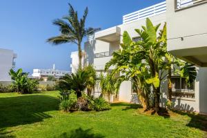 a house with palm trees in front of it at Euronapa Hotel in Ayia Napa