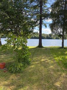 a park with trees and a body of water at Pyynpesä ! in Rovaniemi