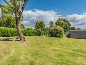 a grassy yard with a tree and a building at The Pod At Egmont in Newenden
