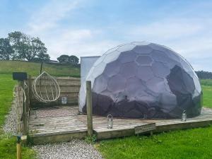 a large soccer ball on a wooden platform in a field at Pendle Hill Dome - Ukc9599 in Earby