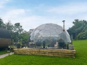a glass dome with cows in it in a field at Pendle Hill Dome - Ukc9599 in Earby