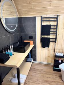 a bathroom with a sink and a mirror at Dukaty House 2 in Verkhovyna
