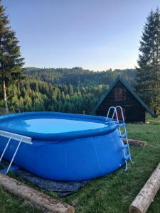 a large blue tub in a yard with a barn at Forest Cabin Ponikve in Čajniče