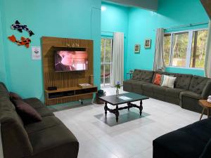 a living room with a couch and a tv at Casa do Lago - Casa de Campo em Campina Grande do Sul in Campina Grande do Sul