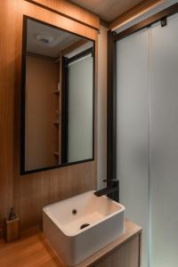 a bathroom with a white sink and a mirror at Chalet Etxean in Hasparren +17 photos