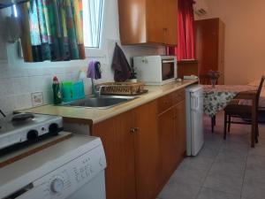 a kitchen with a sink and a microwave at Apartment Kasperakos in Skiathos