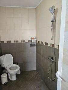 a bathroom with a toilet and a shower at Cтаи за гости Бърдареви in Bansko