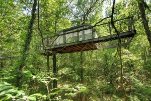 a suspension bridge in the middle of a forest at Cabane Le Module in Angoisse +22 photos