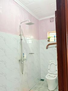 a bathroom with a shower with a toilet in it at OlTepesi HomeStay in Ololaimutiek +23 photos
