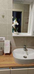 a bathroom sink with a mirror and a flower in a vase at Apartman Bross in Ruma
