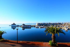 a view of a harbor with palm trees and boats at Beautiful cocoon with shared pool in Le Barcarès in Le Barcarès