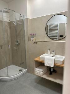 a bathroom with a shower and a sink and a mirror at Vila Markéta in Ledeč nad Sázavou +39 photos