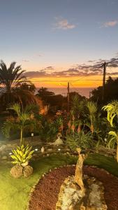 a garden with a view of the ocean at sunset at Chez Sab et chaton in Saint-Leu