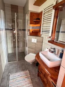 a bathroom with a shower and a sink and a toilet at Uroczysko in Brenna +22 photos