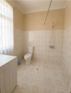 a bathroom with a toilet and a shower at Guesthouse Tornike in Gonio