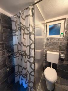a bathroom with a toilet and a shower at Apartmani Klarić in Zadar