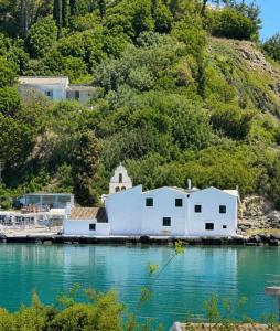 a white building in the middle of a body of water at Villa Armando Corfu Jacuzzi in Perama