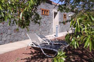 A garden outside La Casona del Patio