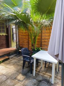 a white table and a chair and a palm tree at Studio confortable à Schoelcher - 16 m² - Jardin privé in Schœlcher