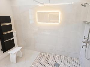 a white bathroom with a shower and a toilet at Villa de charme à Ribérac avec piscine privée in Ribérac