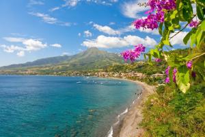 a view of a beach with a mountain in the background at Appartement confortable à Sainte-Luce avec jacuzzi in Sainte-Luce +13 photos