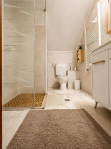 a bathroom with a toilet and a glass shower at Old Mark's House Sinaia in Sinaia +35 photos